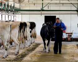 They also offer courses relating to Bio-veterinary Science, Pre-Veterinary Medicine, Dairy Business Management, and other courses for the good health 